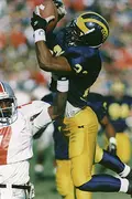 Ty Law