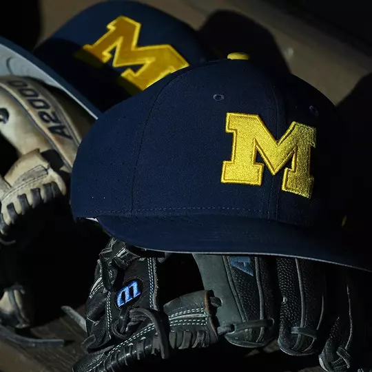 Baseball Hats and Gloves Generic