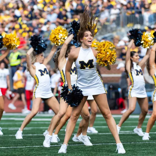 Michigan Dance Team