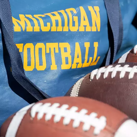 Football bag/balls generic