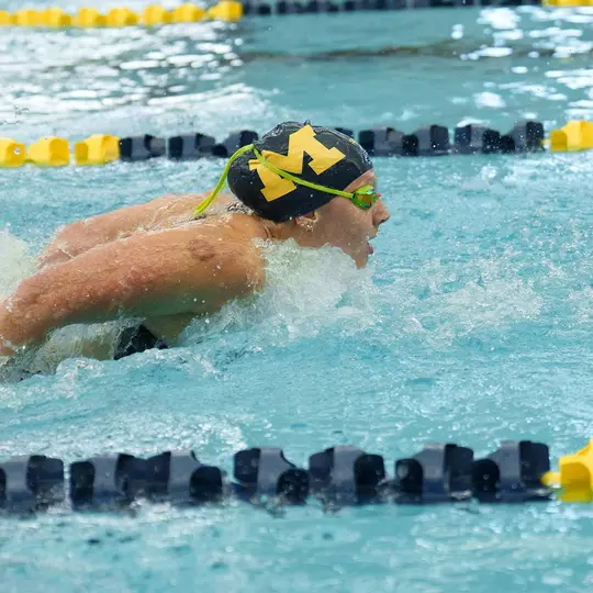 Stephanie Balduccini