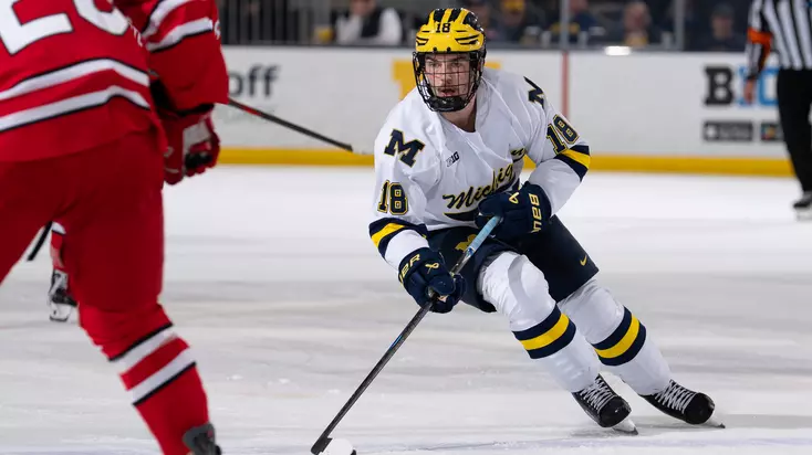 Ice Hockey Highlights vs. Ohio State (Nov. 22)