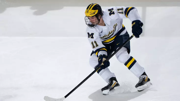 Ice Hockey Highlights at Harvard (Nov. 28)