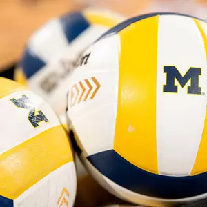 Volleyball Balls Generic