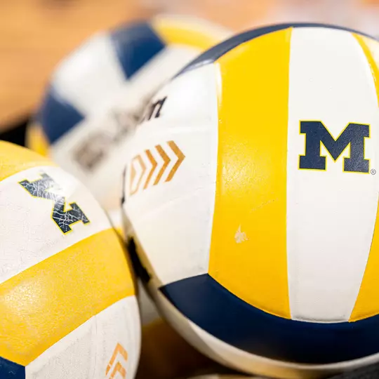 Volleyball Balls Generic