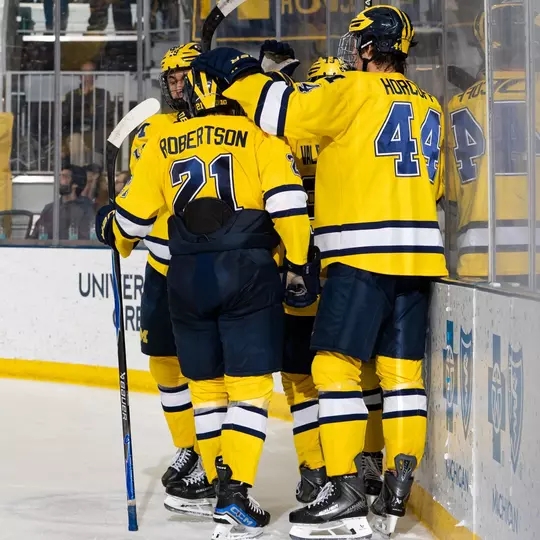 Ice hockey team huddle after goal