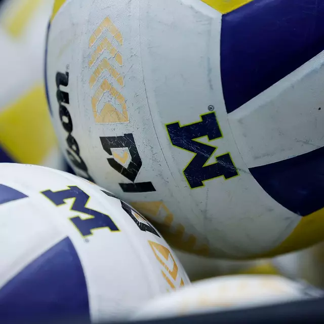 Volleyball Volleyballs
