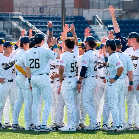 Baseball Team Huddle