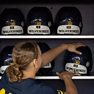 Softball Helmet Rack