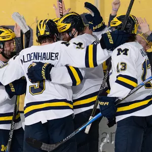 Ice Hockey Goal Celebration