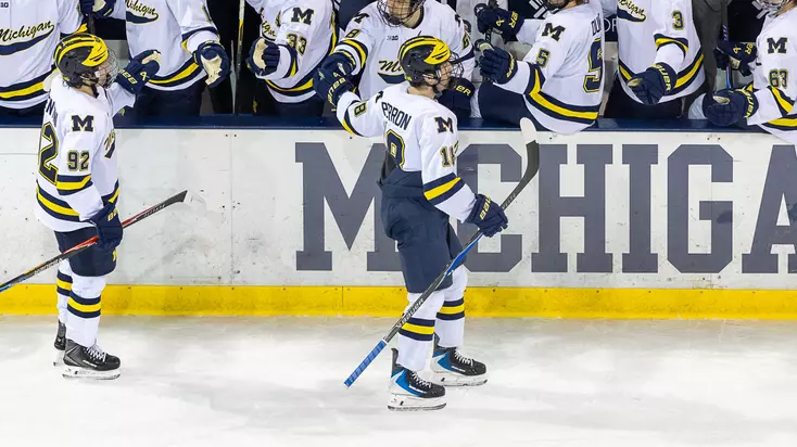 Ice Hockey Highlights at Minnesota (Jan. 16)