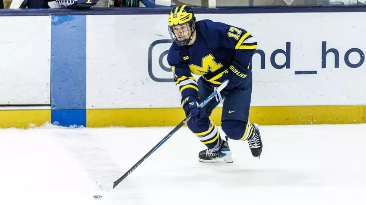 Ice Hockey Highlights at Minnesota (Jan. 17)