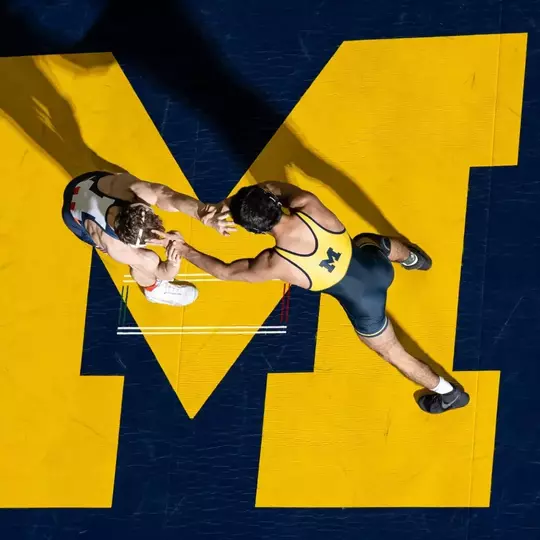 Michigan Wrestling
