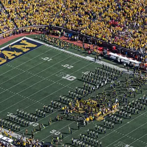 Michigan Stadium Big House Maize Out generic