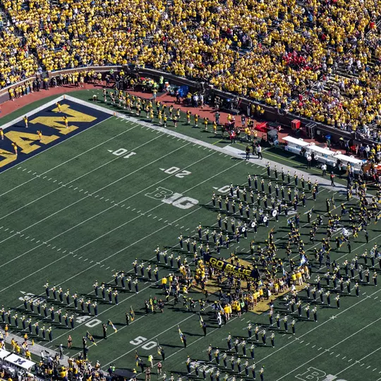 Michigan Stadium Big House Maize Out generic