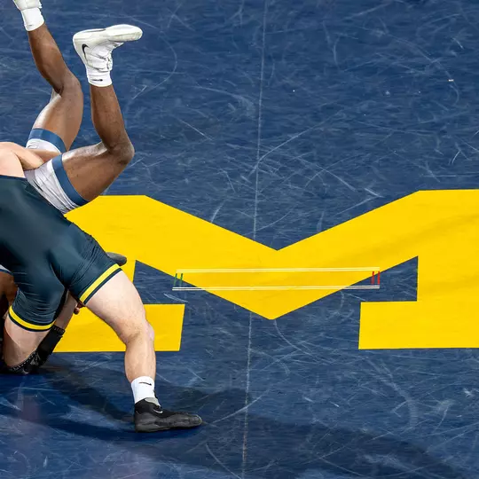 Wrestling - On the Mat