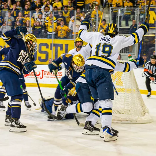Ice Hockey Goal Celebration