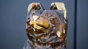 Michigan Men's Soccer Big Bear Trophy