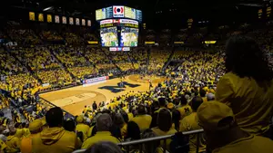 Crisler Center Crowd Wearing Maize