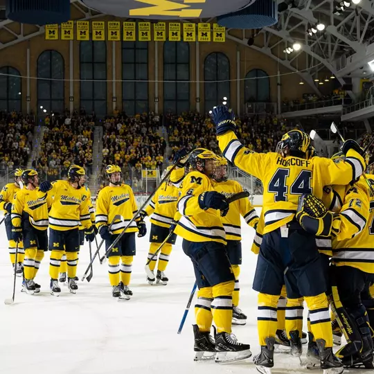 Ice Hockey Team Celebration