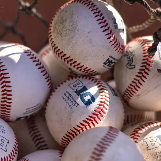 Michigan Baseball