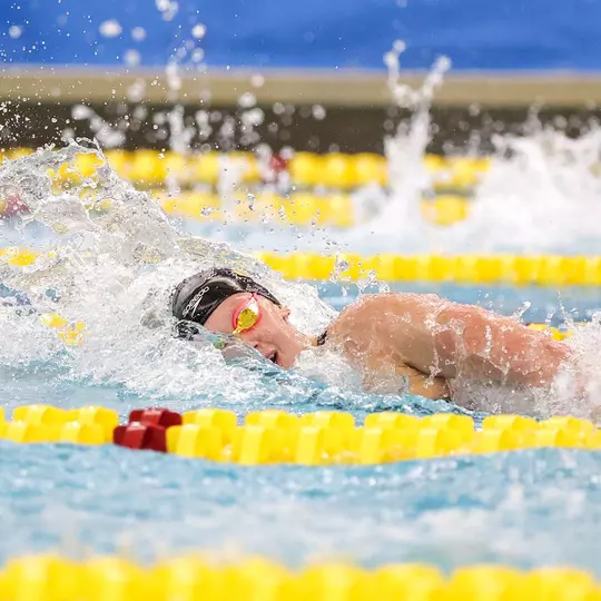 Stephanie Balduccini