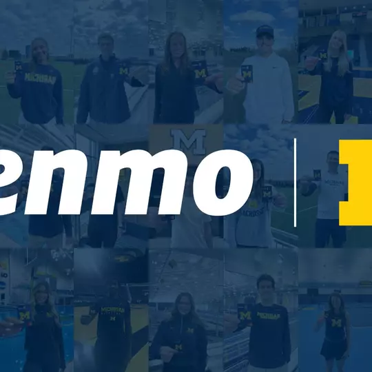 Venmo - Michigan graphic