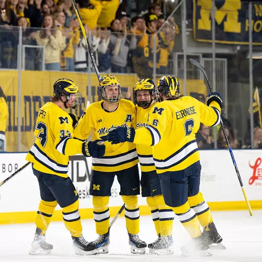 Ice Hockey Group Celebration