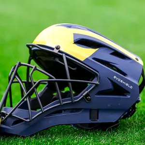 Baseball Catcher's Mask