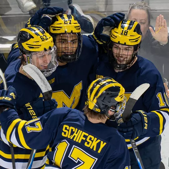 Ice Hockey Goal Celebration