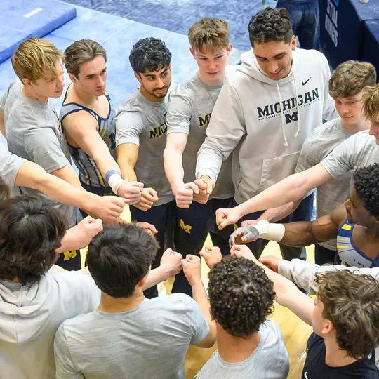 Men's Gymnastics Team Huddle