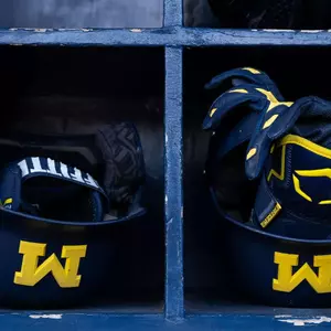 Michigan Baseball Helmets