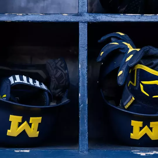 Michigan Baseball Helmets
