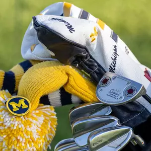 Women's Golf Clubs and Covers