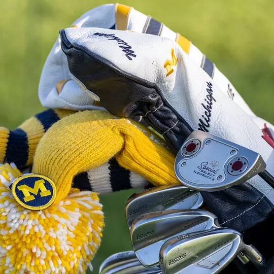 Women's Golf Clubs and Covers