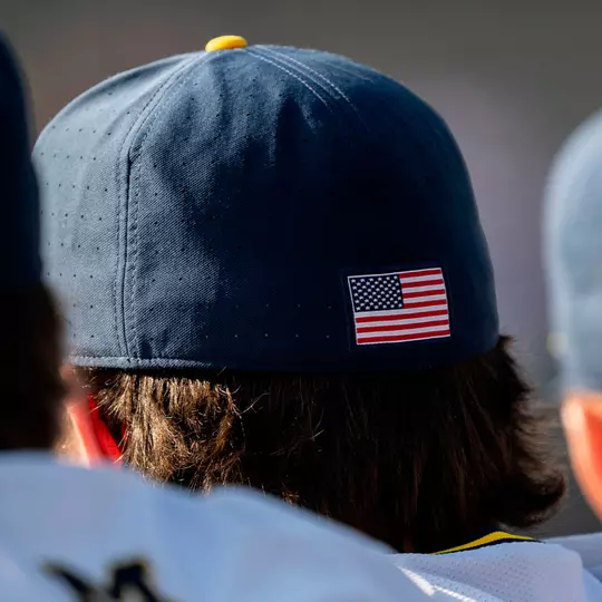 Baseball - Backs of Caps