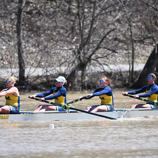 Rowing team in action