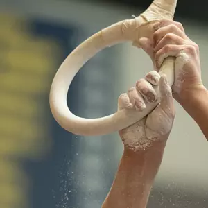 Men's gymnastics still rings
