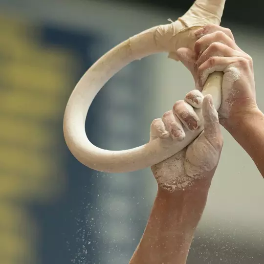 Men's gymnastics still rings