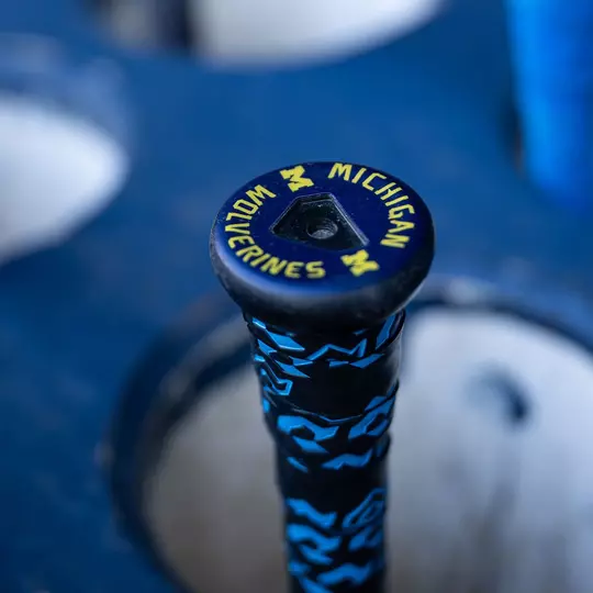 Michigan Wolverines baseball bat in dugout