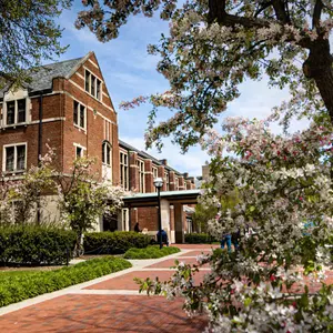 University of Michigan campus