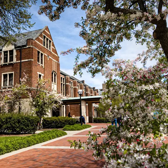 University of Michigan campus