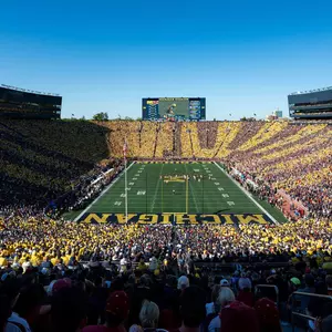 Michigan Stadium Stripe Out