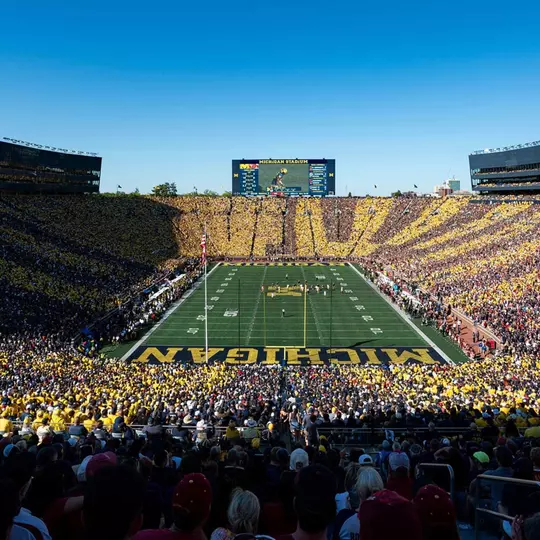 Michigan Stadium Stripe Out