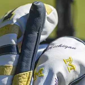 Women's Golf Covered Clubs