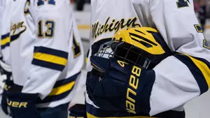Ice Hockey Helmet and Glove