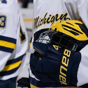 Ice Hockey Helmet and Glove