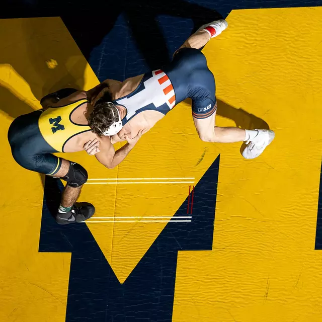Wrestling block M mat