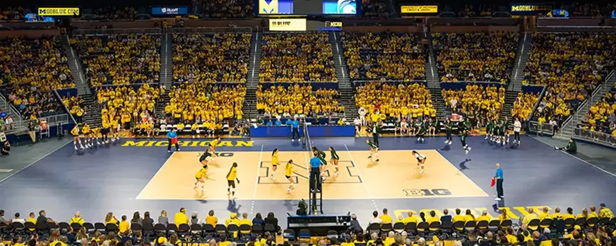 Michigan volleyball crowd
