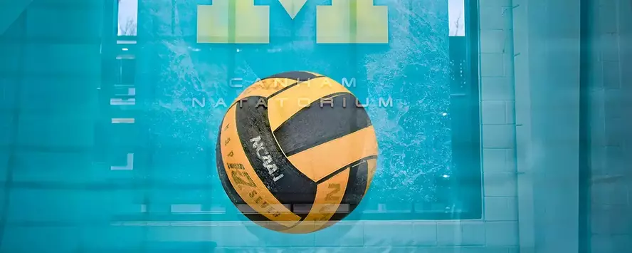 Water polo ball